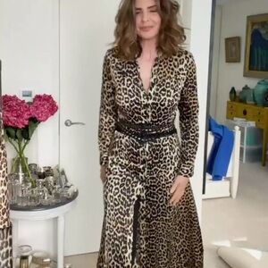 Zara Leopard Print Long Sleeve Satin Dress